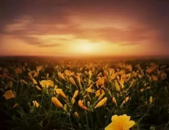 黑眼圈不止熬夜，身体在告诉你什么？