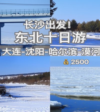 这一次，东北真豁出去了