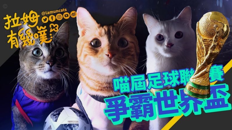国足vs西班牙：攻破防线可能？