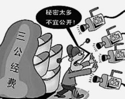 海牛外援伤愈复训 齐鲁德比能否登场成谜